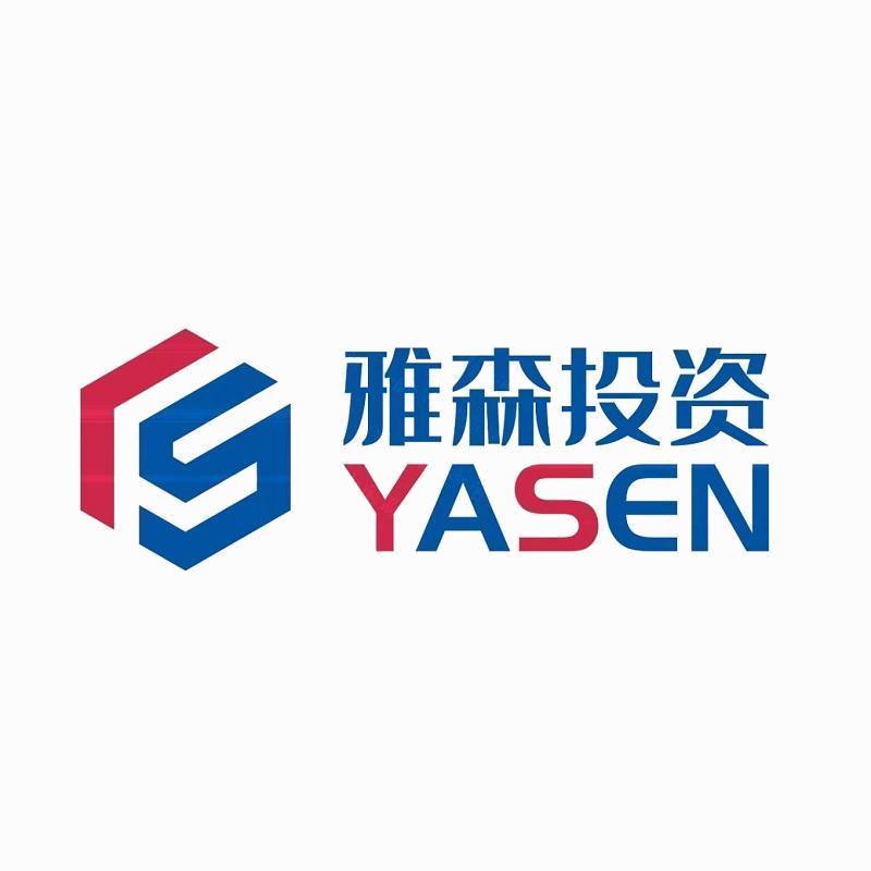 龙岩市雅森投资咨询 专业视野下的投资智慧与实务指南